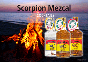 Opskrifter på cocktails med mezcal