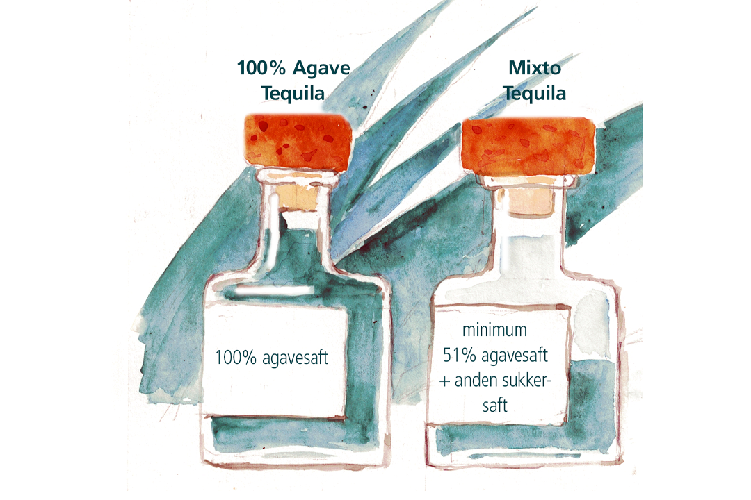 Forskellen på mixto tequila og 100% Agave tequila